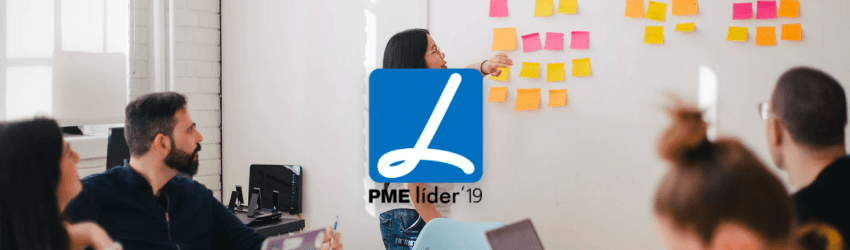 Como uma Empresa pode ser PME Líder?