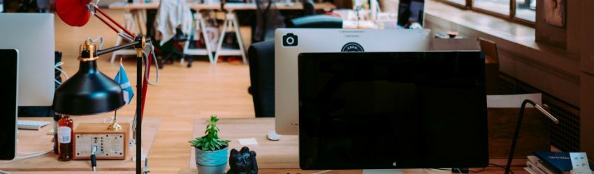 Como Escolher o Melhor Tipo de Forma Jurídica?