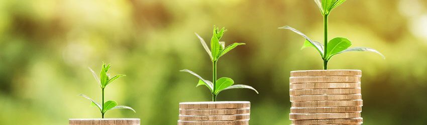 Como calcular a Margem de Lucro?