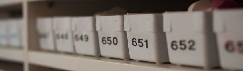 Saiba tudo sobre Taxonomias e o que implicam no SAF-T